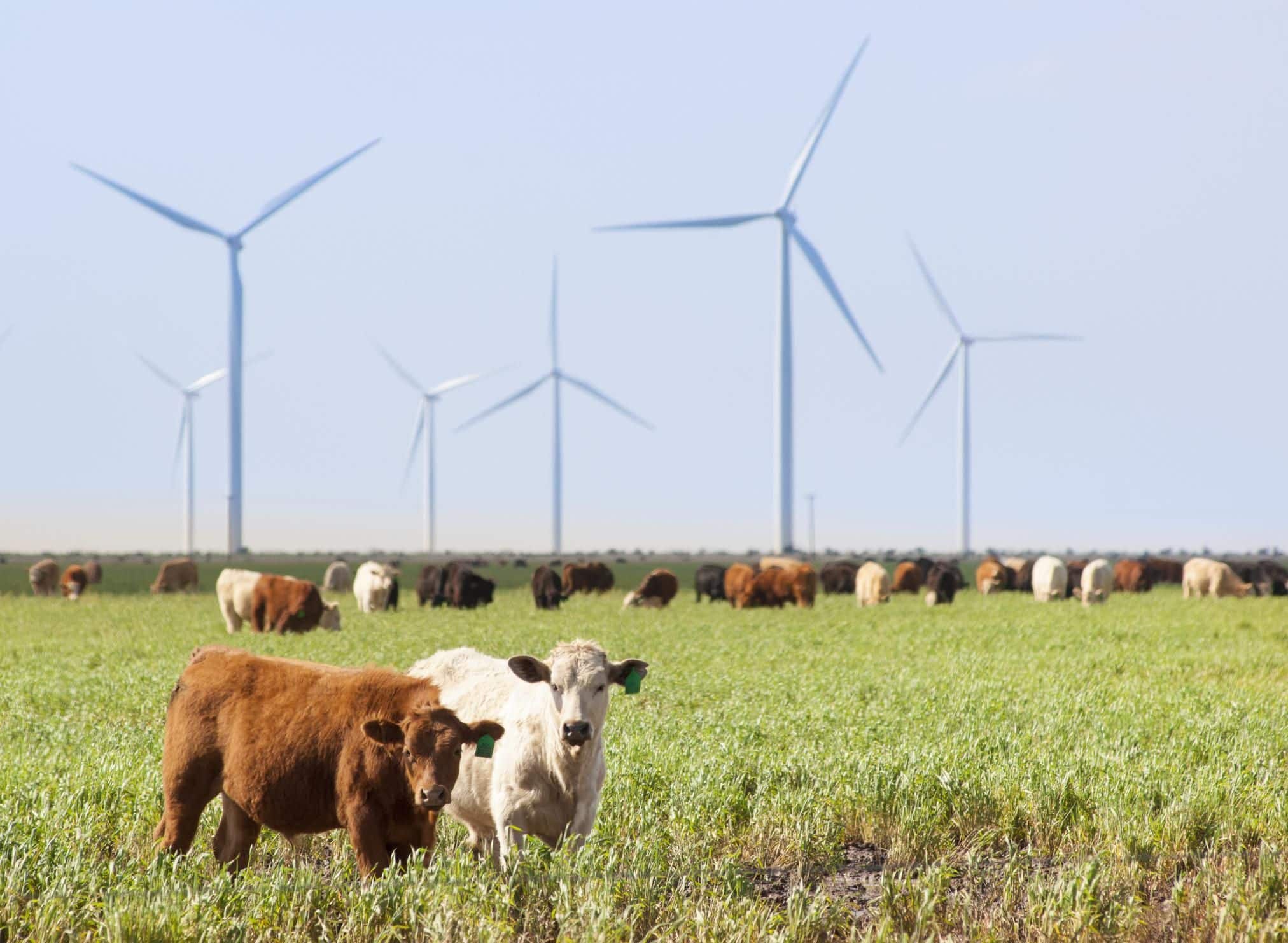 Solar Wind mill Project for Farm Use