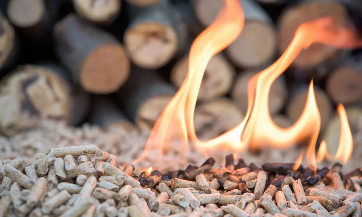 Bioenergy burns biomass fuel