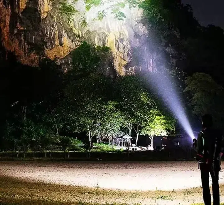 Who makes the best outdoor solar motion sensor light?